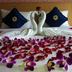 Green Harbor Hotel & Service Apartment 3* Стандартный номер с различными типами кроватей фото 10