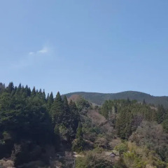 Отель Ryokan Maruya Хидзи фото 2