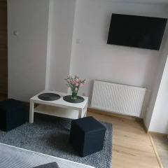 Отель Hostelino Польша, Сопот - отзывы, цены и фото номеров - забронировать отель Hostelino онлайн комната для гостей фото 5