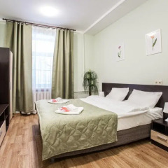 Hotel Volkovsky Стандартный номер фото 12