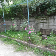 Отель Elen