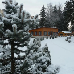 Гостиница Forest Court Беларусь, Могилёв - отзывы, цены и фото номеров - забронировать гостиницу Forest Court онлайн спортивное сооружение
