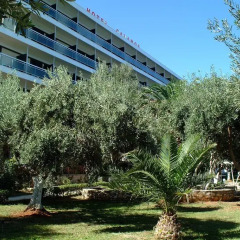 Bomo Calamos Beach Hotel - All Inclusive фото 6