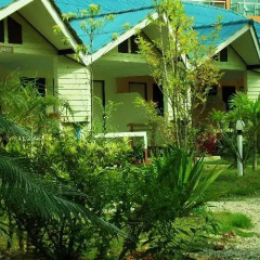 Отель The Krabi Forest Homestay фото 12