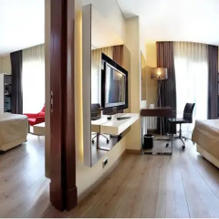 ISTANBUL DORA 4* Стандартный номер с различными типами кроватей фото 4