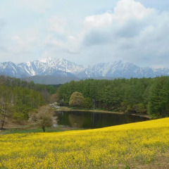 Отель Pension Hayaokidori Хакуба приотельная территория фото 2