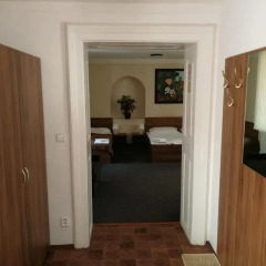 Апартаменты Apartments U Svejku Апартаменты с различными типами кроватей фото 7