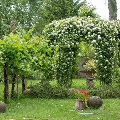 Отель Ca'Bevilacqua Bed&Breakfast Бертиноро фото 6