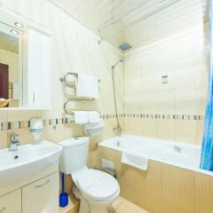 Гостиница Евразия 3* Стандартный номер с различными типами кроватей фото 17