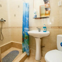 Гостиница Sochi Olympic Villa Номер Делюкс с различными типами кроватей фото 34
