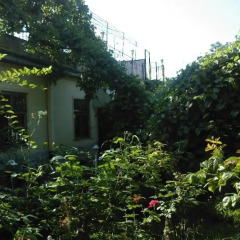 Гостиница Guest House Kostandi Одесса фото 4