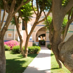 Отель Robinson Club Pamfilya фото 5