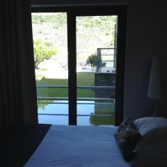 Hotel Folgosa Douro 3* Стандартный номер фото 5