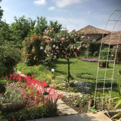 Отель House Gabri Болгария, Тырговиште - отзывы, цены и фото номеров - забронировать отель House Gabri онлайн детские мероприятия
