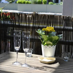 Отель Appartement Dresden Германия, Дрезден - отзывы, цены и фото номеров - забронировать отель Appartement Dresden онлайн балкон
