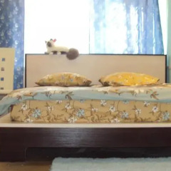Hotel Sezon интерьер отеля
