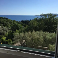 Апартаменты Apartments TMV Dragovic балкон