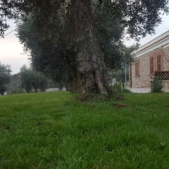 Отель Casale Rufo Сперлонга