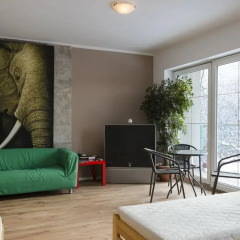 Hostel Kaktus комната для гостей