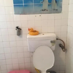 Отель 21 Shivalik Aparment Alakananda в номере