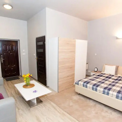 Апартаменты Studio Apartament Centrum Katowice Апартаменты с различными типами кроватей фото 8