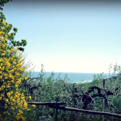 Отель B&B Costaginestre Ортона приотельная территория фото 2