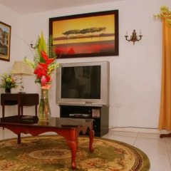 Отель Mango Tree Peaceful Pension интерьер отеля фото 2