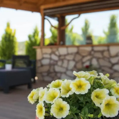 Отель Anthemida Rooms Ситония бассейн