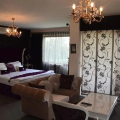 Parla Viens Suites 3* Стандартный номер с различными типами кроватей фото 3