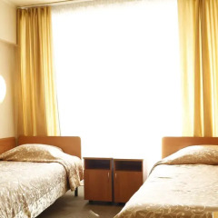 Гостиница Иркутск 3* Стандартный номер с различными типами кроватей фото 13