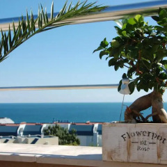 Апартаменты Sineva Del Sol Apartments Студия фото 26