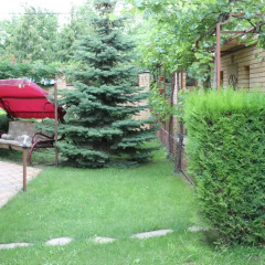 Гостиница Diana cottage в Анапе отзывы, цены и фото номеров - забронировать гостиницу Diana cottage онлайн Анапа фото 2