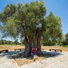 Отель Teos Ormanci Tatil Koyu бассейн фото 2