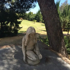 Отель Hacienda Los Jinetes фото 13