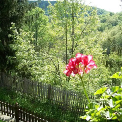 Отель Tacheva Family House - Pool Access Коттедж фото 8