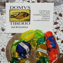 Отель B&B Domus Tiberio Пиццо детские мероприятия