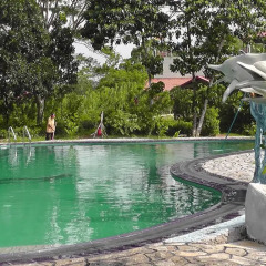 Отель Manikgoda Tea Paradise бассейн фото 2
