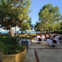 Отель Majesty Club La Mer Art