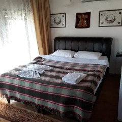 Dionysos Pension Стандартный номер с различными типами кроватей фото 13
