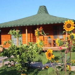 Отель Cirali Almira Bungalow 2* Бунгало с различными типами кроватей фото 22