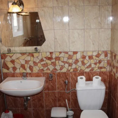 Отель Herczeg Apartment Венгрия, Силвашварад - отзывы, цены и фото номеров - забронировать отель Herczeg Apartment онлайн ванная фото 2
