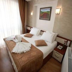 Arife Sultan Hotel комната для гостей фото 4