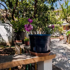 Отель Milingona City Center Hostel Албания, Тирана - отзывы, цены и фото номеров - забронировать отель Milingona City Center Hostel онлайн фото 3