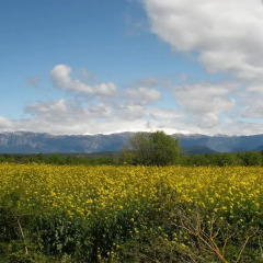 Отель El Corral de Villacampa фото 6