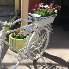 Hostel Velik Odessa спортивное сооружение