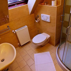 Le Rose Hotel 3* Стандартный номер с различными типами кроватей фото 5