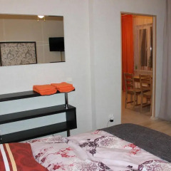 Гостиница Apartamenti na Vladimirskoy 7A в Пскове отзывы, цены и фото номеров - забронировать гостиницу Apartamenti na Vladimirskoy 7A онлайн Псков детские мероприятия