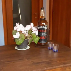 Отель Appia Antica Италия, Капуя - отзывы, цены и фото номеров - забронировать отель Appia Antica онлайн удобства в номере