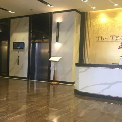 Апартаменты SUNNY TROPICAL Serviced Apartments Студия Делюкс с различными типами кроватей фото 14