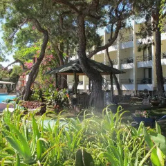 Club Hotel Rama - All Inclusive фото 8